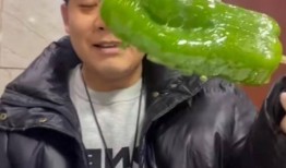 吃瓜网红文轩,吃瓜网红的瓜田奇遇记