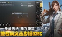 绝地求生外国爆料视频大全,外国爆料视频大盘点，揭秘游戏幕后真相