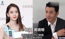 爆料某女星秘密离婚视频,真相背后引人深思