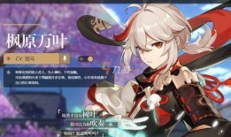 原神爆料最新角色排行,神秘新角色崛起，谁将引领潮流？
