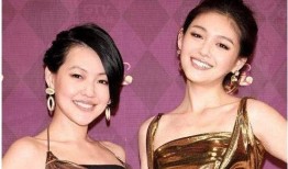 娱乐圈爆料大s,揭秘明星背后的故事