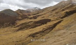 途观西藏旅游最新爆料,途观车队最新旅游爆料，一路风光无限