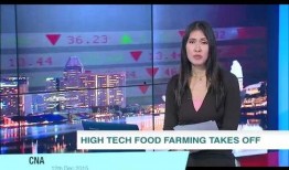 新嘉坡最新爆料新闻报道,揭秘城市背后的惊人真相