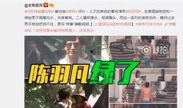 赵怀珍爆料官方视频大全,官方视频大全背后的精彩故事