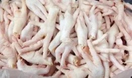 鸡爪养殖爆料怎么做视频,视频带你走进养殖全过程