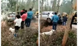 石塘镇最新爆料信息,揭秘神秘事件背后的真相