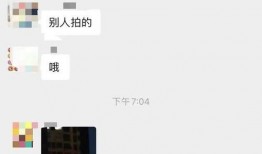 嘉兴平湖爆料事件视频,视频揭露惊人真相