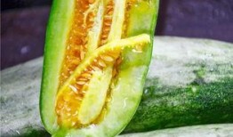 百万网红吃瓜,揭秘娱乐圈最新吃瓜盛宴！