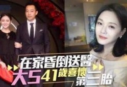 大s最新爆料辟谣,揭秘真实事件背后的真相