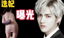 吴亦凡爆料视频入口,揭秘娱乐圈不为人知的真相
