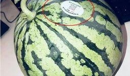 百万网红吃瓜,揭秘娱乐圈最新吃瓜盛宴！