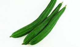 吃瓜爆料新解读最新一期